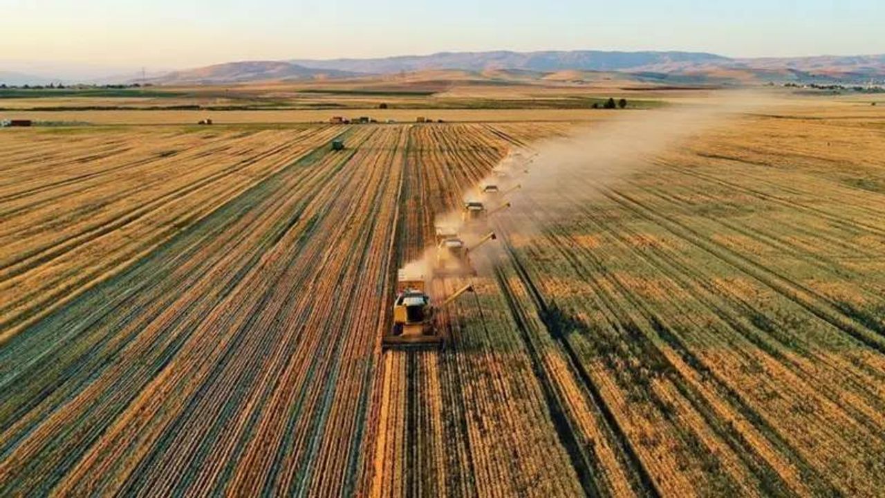 TÜİK açıkladı: 2025'te tarımsal üretim düşecek