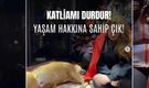 SAÜ öğrencileri yarın Kent Park'ta