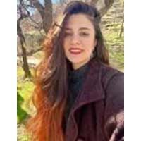 Merve Kurt
