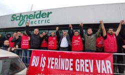 Schneider Enerji işçilerinin grevine erteleme kararı