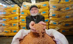 Kocaeli'de çiftçilere tohum desteği