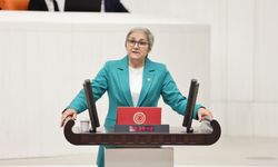 CHP'li Taşkent'ten Tarım Bakanı'na IPARD sorusu