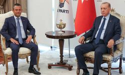TİP PM Bildirgesi: ' Erdoğan daha da otoriterleşecek'