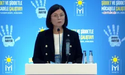 Son 10 yılda 210 bin çocuk cinsel istismara uğradı