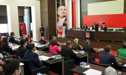 CHP'den sokak hayvanları için yeni adım