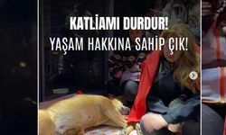 SAÜ Dayanışması yarın Kent Meydanı'nda!