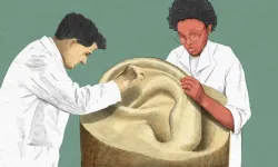 Kulak kiri ve sağlığınız arasındaki ilişki ne?