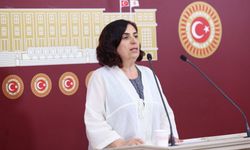 Hastanelerdeki randevu krizi TBMM'de