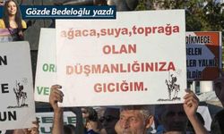 Zeytin yasası ve iktidarın kıyım dolu karnesi
