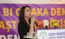 DEM Parti: Lafla peynir gemisi yürümez, zaman icraat zamanıdır