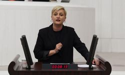 Koca: Meclis adımları yetmez, mücadele etmeliyiz