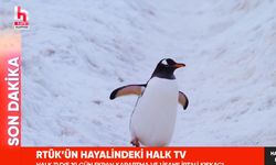 Halk TV’den yayın cezasına penguenli gönderme