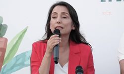 Hatimoğulları: Türkiye barışını kurarsa bölgeye umut olur