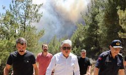 Sakarya Taraklı’da orman yangını!