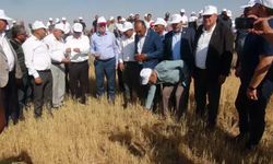 TZOB: Mayıs'taki don şubat depremi gibi!