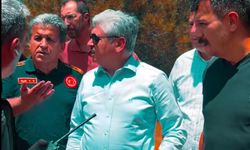 Sakarya Valiliği söndürme çalışmalarını görüntüledi