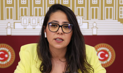 Sera Kadıgil: “Bu milletvekili halka değil, şirketlere çalışıyor”