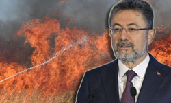 Hava sıcaklıkları 10 derece artacak: Bakan Yumaklı’dan yangın uyarısı