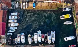 Deniz ölüyor: Marmara’da müsilajın sessiz felaketi
