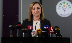 DEM Parti’den gözaltı açıklaması: “Barış ve demokrasi umutları hedefte”