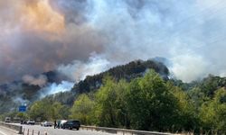 Sakarya’da 4 günde 202 yangın ve kurtarma vakası
