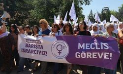 Kadınlardan Meclis’e çağı: Özgürlük yasaları çıksın istiyoruz