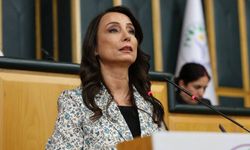 Hatimoğulları: “Üçlü ittifak” iddiaları gerçek dışı, süreç devletle yürütülüyor