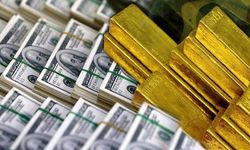 Piyasalarda bu hafta: Serbest fonlar ve döviz kazandırdı