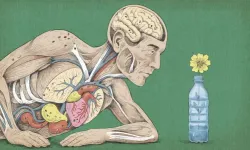 Vücudumuzdaki Mikroplastikler sağlımızı nasıl etkiliyor?