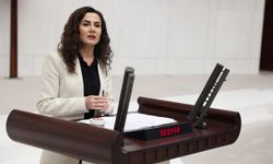 Sümeyye Boz: Yaz tatili bakım krizi araştırılsın