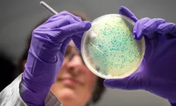 Yapay zekâ dirençli bakteriler için antibiyotik tasarladı