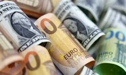 Dolar ve euroda yükseliş sürüyor: 29 Ağustos güncel döviz kurları