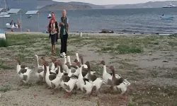 Denize girmekten yargılanan kazlara ‘şartlı tahliye’