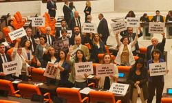 Ankara Barosu:  “Hayvan haklarında cezasızlık failleri cesaretlendiriyor”
