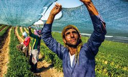 Gençlere “Köy” desteği: Bedelsiz arazi ve ev fırsatı yolda