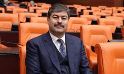 Necmettin Erkan, Balkan Üniversitesi’ni biyografisinden sildi