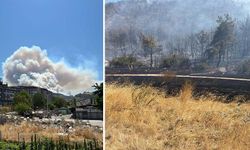 Manisa, Çanakkale ve Hatay’da orman yangınları