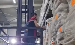 İzmir’de şok gıda operasyonu: Bin ton süt ürününe el konuldu!
