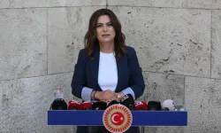 Dem parti: Komisyonda Öcalan’ın da görüşleri dinlenmeli