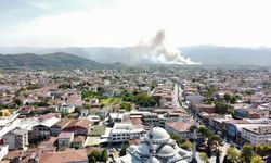 Akyazı’da orman yangını: Ekipler bölgeye sevk edildi