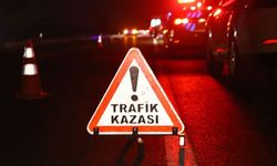 Fındık işçilerini taşıyan minibüs uçuruma yuvarlandı