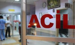 Erzincan'da 106 kişi yedikleri düğün yemeğinden zehirlendi