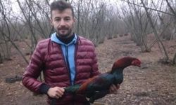 Boru fabrikasındaki iş cinayetinde 1 gözaltı