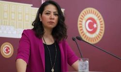 TİP sözcüsü Sera Kadigil: Akbelen’de Zehra Yıldırım’ın mücadelesi devam ediyor