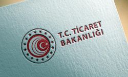 Ticaret Bakanlığı: 3 ürün grubunun ithalatı kısıtlandı