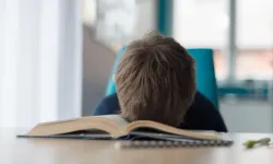 Matematikte başarı doğuştan mı geliyor?