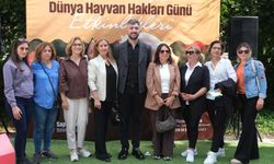 Sapanca’da Dünya Hayvan Hakları Günü Kutlandı