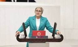Sapanca Gölü tehlikede: “İçme suyu kaynağımız göz göre göre kuruyor”