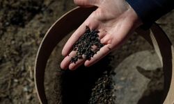 Van’da 5 bin yıllık arpa taneleri bulundu