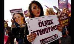 Erkek Şiddeti Veritabanı erişime açıldı